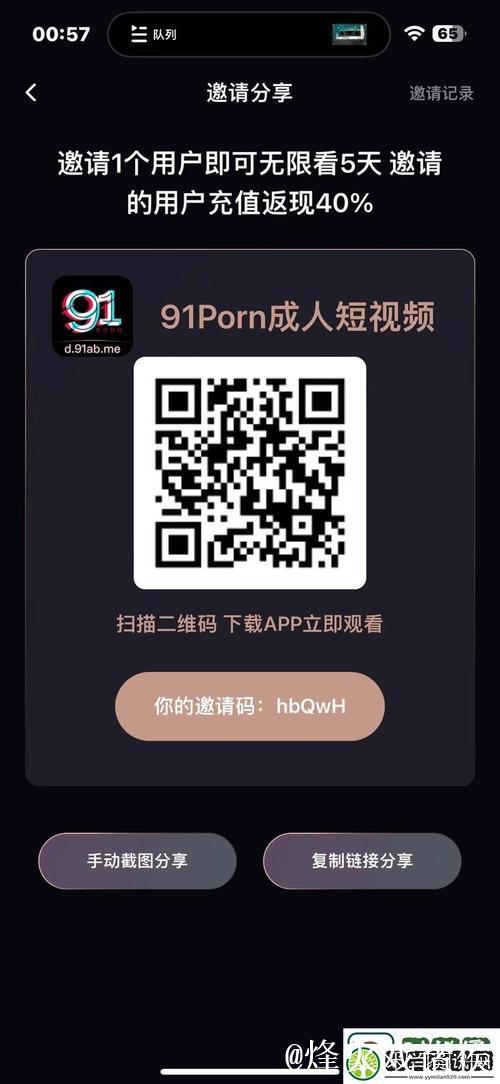 91精品国产入口